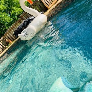 Meet your Posher, Madisyn